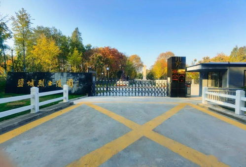 鹽城60后、70后、80后記憶中的人民公園 從往昔記憶到今日綠化新貌